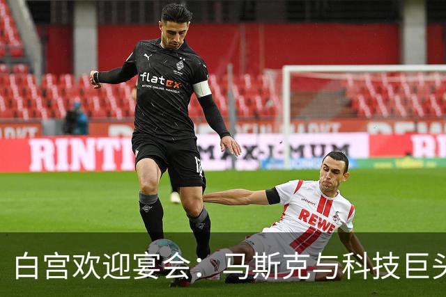 白宫欢迎宴会：马斯克与科技巨头齐聚一堂